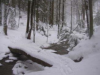 Hörschbachtal im Winter