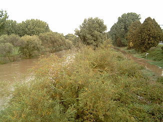 Ihme im Flutgraben in Hannover, Hochwasser der Leine führend, rechts im Bild überfluteter Radweg