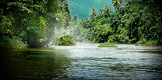 Der Kelani bei Kitulgala