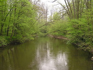 Kinzig in der Bulau bei Hanau