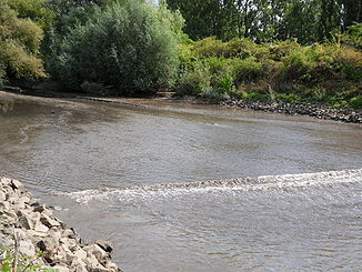 Mündung des Käsbachs in den Kostheimer Mainhafen. Der Käsbach hat Unmengen ganz feiner schlickartiger Sedimente im Hafenbecken abgelagert, die durch stetige, gezeitenartige Schwankungen des Wasserspiegels weiter getragen werden und den Wasserstand ganz flach auslaufen lassen. Im Bild ist eine auflaufende Flutung zu sehen. Die Schwankungen werden durch den an der Mündung des Hafenbeckens vorbeifahrenden Schiffsverkehr verursacht.