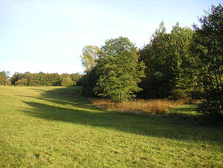 Quellgebiet bei Hirrweiler (Naturschutzgebiet Enzwiese)