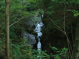 Der Little Miami River im Bereich Clifton Gorge