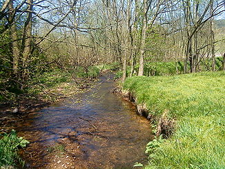 Der Lohrbach südlich von Lohrhaupten