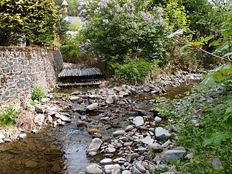 Zusammenfluss von Kleiner Lonau (links) und Großer Lonau (rechts)