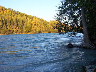 Kasilof River im August