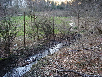 Der Mühlenbach kurz vor der Mündung in den Ostbach, Feb 2008