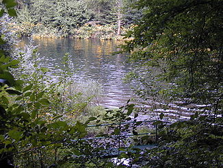 Die Mündung des Lohbachs in der Wupper