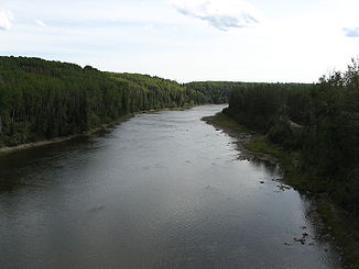 Mcleod River bei Edson, Alberta