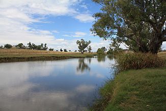 Mooki River in Caroona