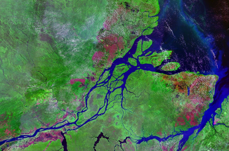 Satellitenbild Amazonasmündung,der Rio Para verläuft auf dem Bild unten von der Mitte nach rechts.