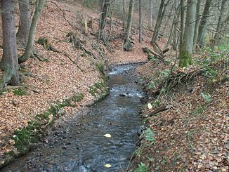 Bachlauf im Naturschutzgebiet Mühlenbachtal