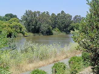 Napa River Napa California.jpg