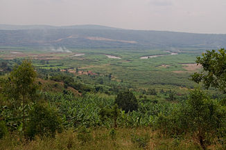 Der Nyabarongo in der Nähe von Kigali