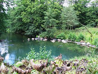 Die Quelle des Loiret