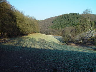 Das Pastoratshofer Bachtal mit Blickrichtung auf das Spreeler Bachtal