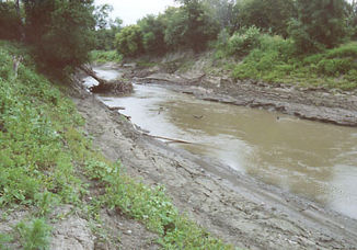Der Pembina River in der Nähe seiner Mündung bei Pembina, ND