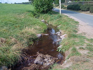 Der Rückersbach am Schluchthof