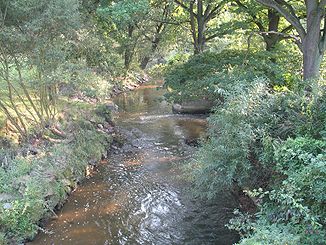 Die Wittig bei Ves (deutsch Wiese) in Tschechien.