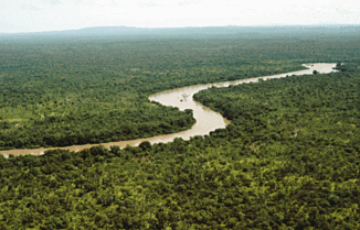 Der Fluss beim Niokolo-Koba National Park
