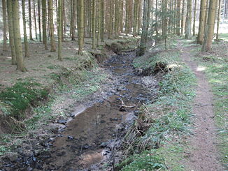 Der Rotenbach im Matzengehrer Wald zwischen Rosenberg-Dieselhof und Ellwangen-Griesweiler