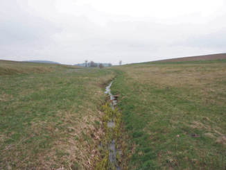 typische Ansicht ins Einzugsgebiet des Schäferbach