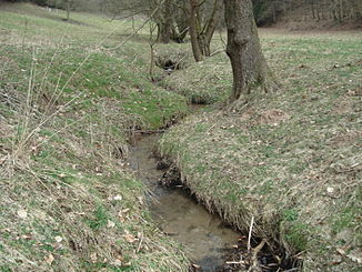 Der Schloßgrundgraben nördlich der Mensengesäßer Weiher