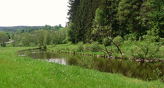 Die Schlossauer Ohe zwischen Reinhartsmais und Regen