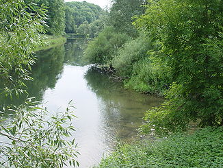 Die Mündung der Schmeie von rechts in die Donau