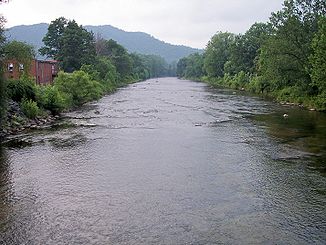 Shavers Fork in Parsons, West Virginia
