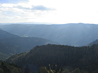 Blick südwärts in das hier etwa 700 m tiefe Tal der Wilden Gutach, zur Platte mit Hornkopf (rechts) und zum Feldberg am Horizont