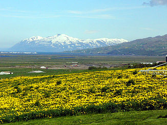 Mündungsgebiet der Héraðsvötn, links im Mittelgrund Sauðárkrókur