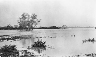 Flut am Flinders River bei Hughenden (Januar 1917)