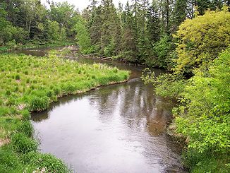 Der Straight River in der Straight River Township (2007)