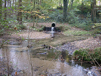 Mündung in den Westerholter Bach