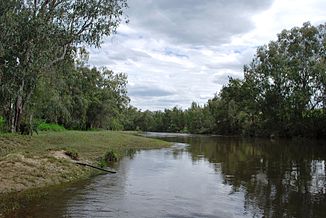 Dumaresq River bei Texas. New South Wales ist am rechten Ufer, Queensland am linken.