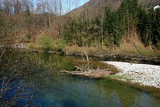 Unterlauf bei Molln