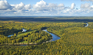 Der Fluss Wassjugan im Gebiet Tomsk, Sibirien, Blick aus dem Hubschrauber.