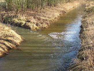 Zufluss der 'Neuen Hessel zur Alten Hessel nahe dem Naturschutzgebiet Versmolder Bruch