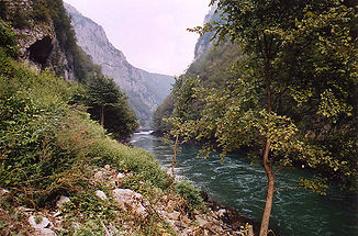Vrbas river.jpg