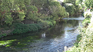 Wandle in Wandsworth