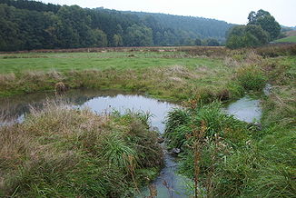 Feuchtwiesen an der Wetschaft im Biotop-Verbundsystem Oberes Wetschafttal bei Roda