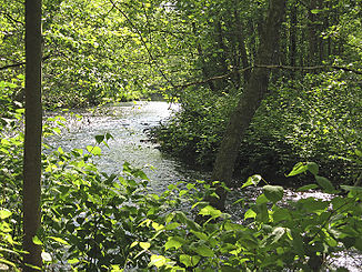 Whippany River im Frelinghuysen Arboretum