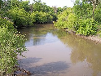 Der Wild Rice River bei Abercrombie, North Dakota (2007).