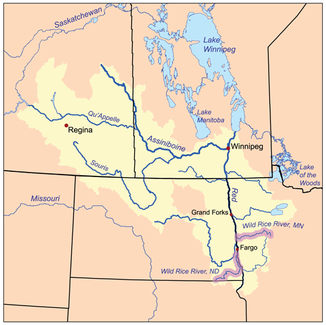 Das Einzugsgebiet des Red River of the North, beide Wild Rice River sind hervorgehoben