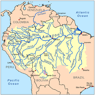 Amazonasbecken, der Yapacaní violett