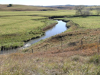 Yarrowitch River beim Oxley Highway