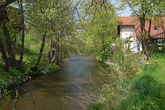 Die Zwettl an der Stadtmauer der Stadt Zwettl