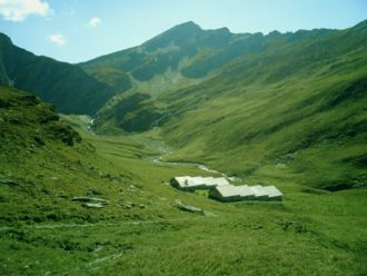 Alp Tomül mit Blick auf den Teischer (2'688 m ü. M.), Das Bärenhorn ist von der Alp aus nicht sichtbar