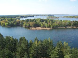 Blick vom Aussichtsturm auf den See und die Insel